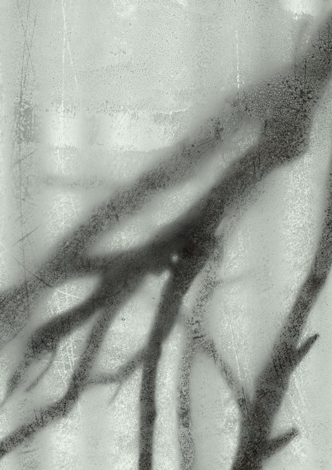 Soft black branch shadows across a pale grey textured surface