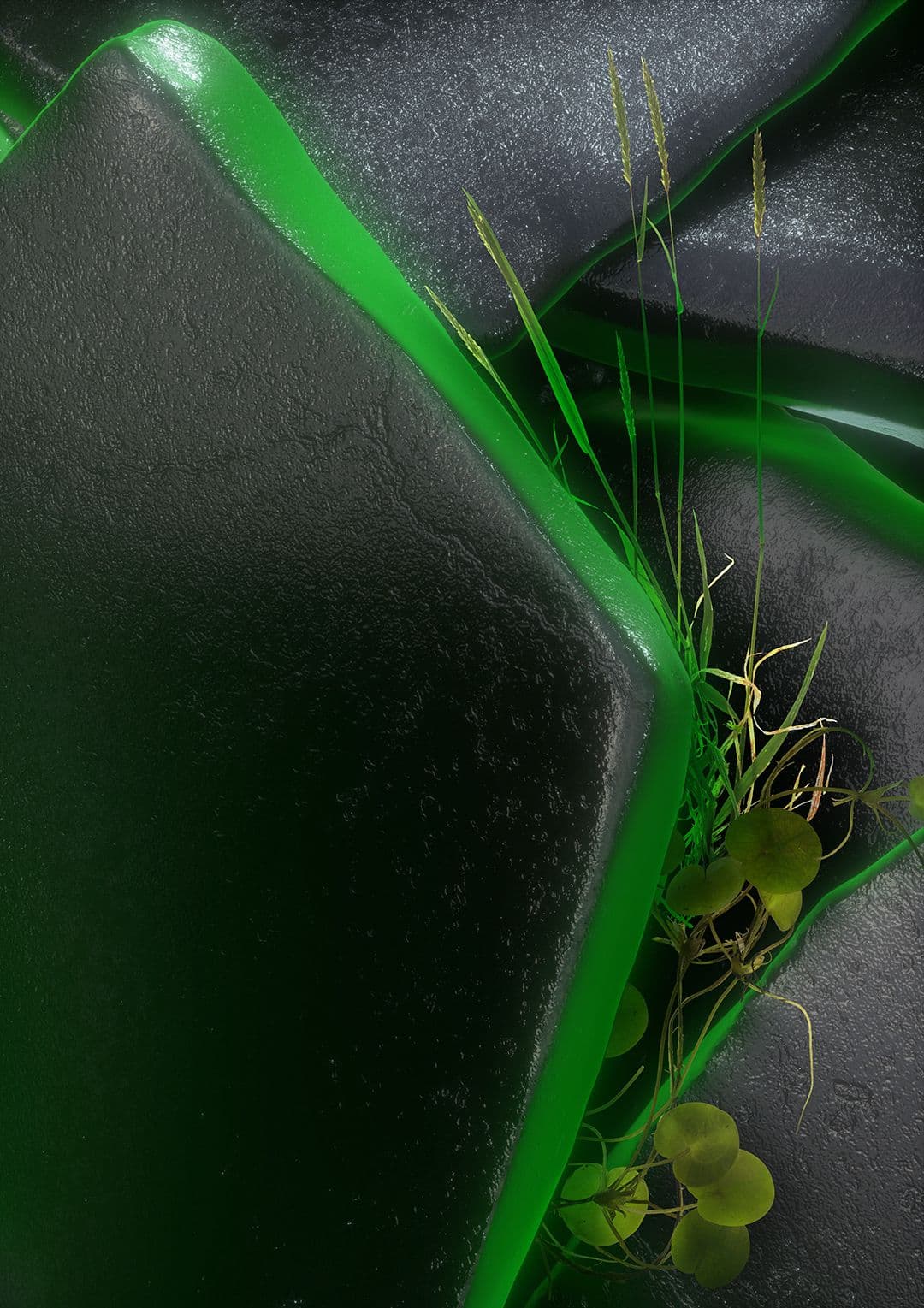 Dark curved surfaces edged in green with small plants growing between them